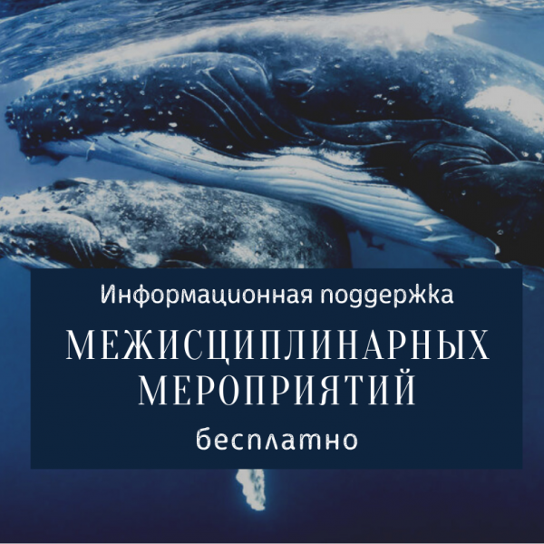 Бесплатная информационная поддержка